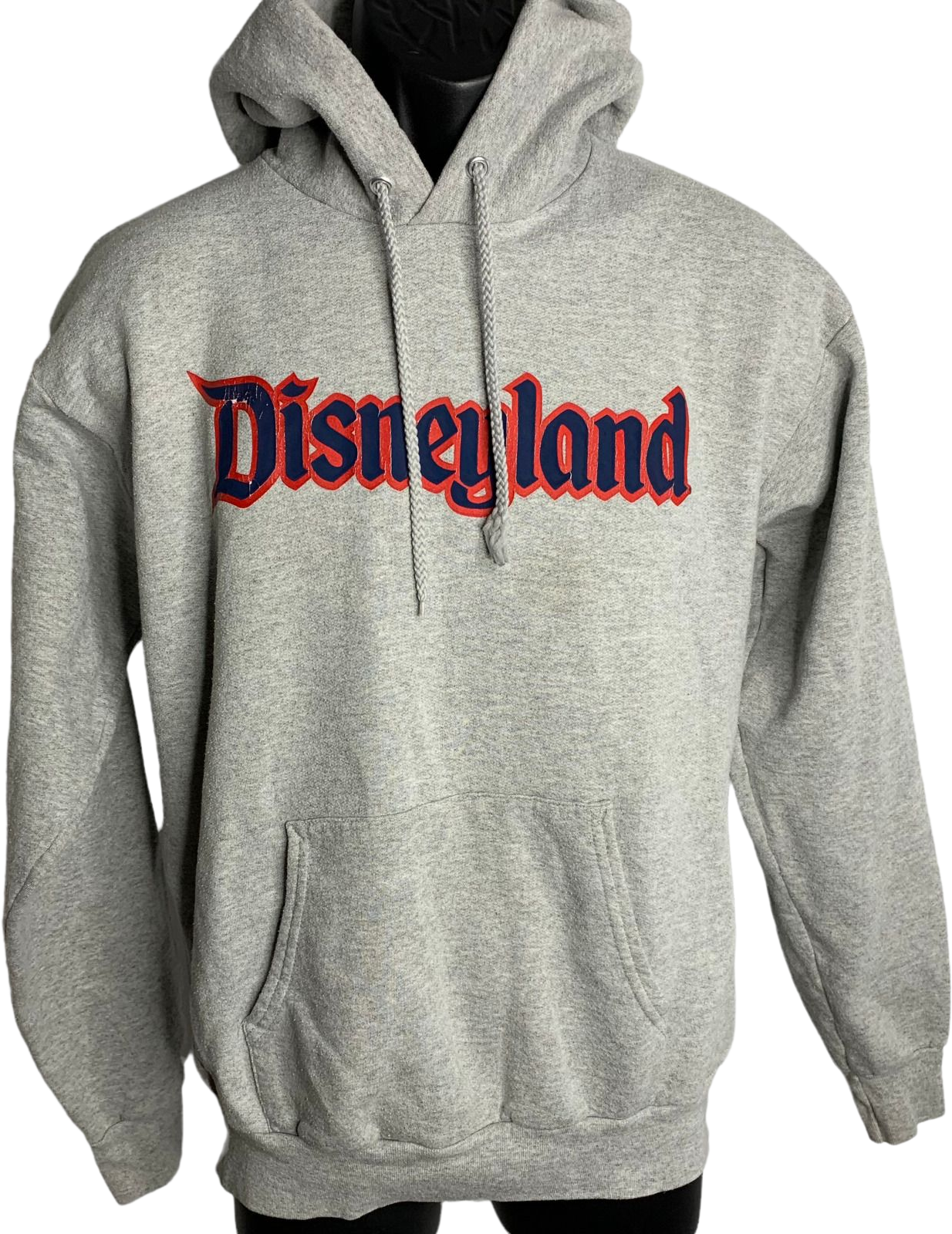 Disneyland 2024 resort hoodie