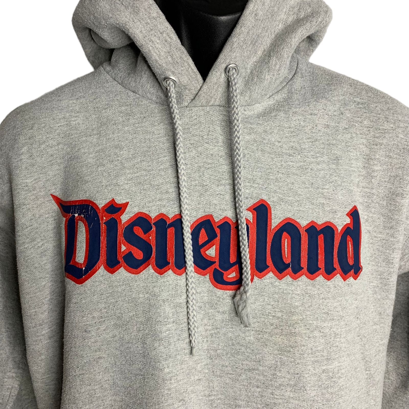 Gray hot sale disneyland sweatshirt