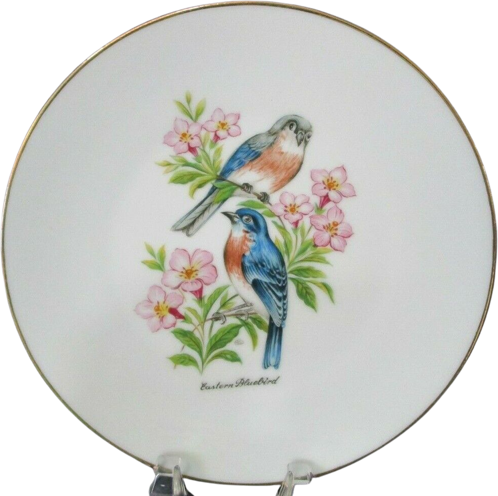 Vintage Pair of Eastern Bluebird Bareuther Waldsassen #144 Plate Gold