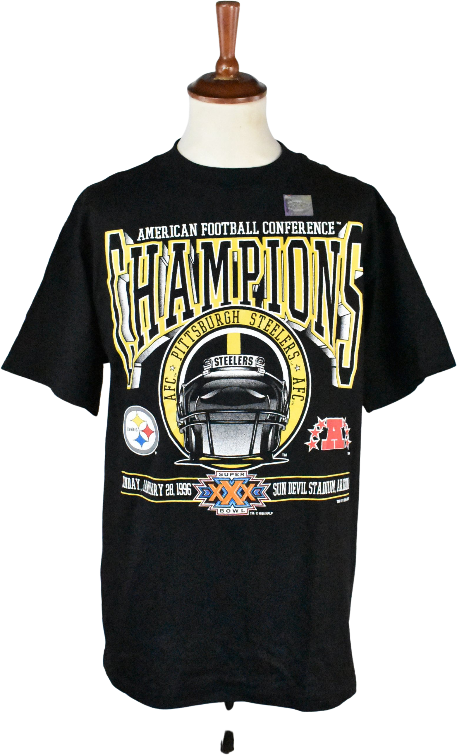 steelers afc champions