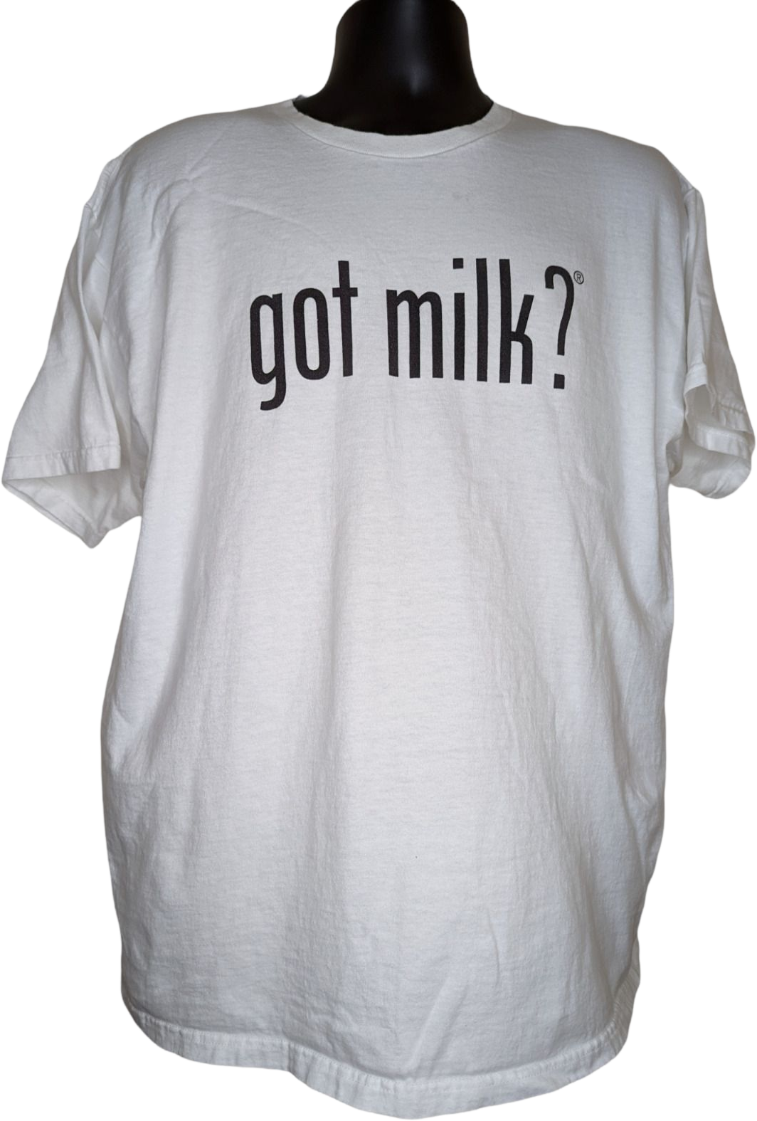 Got Milk? Ad Campaign Vintage T-Shirt by Fruit of the Loom