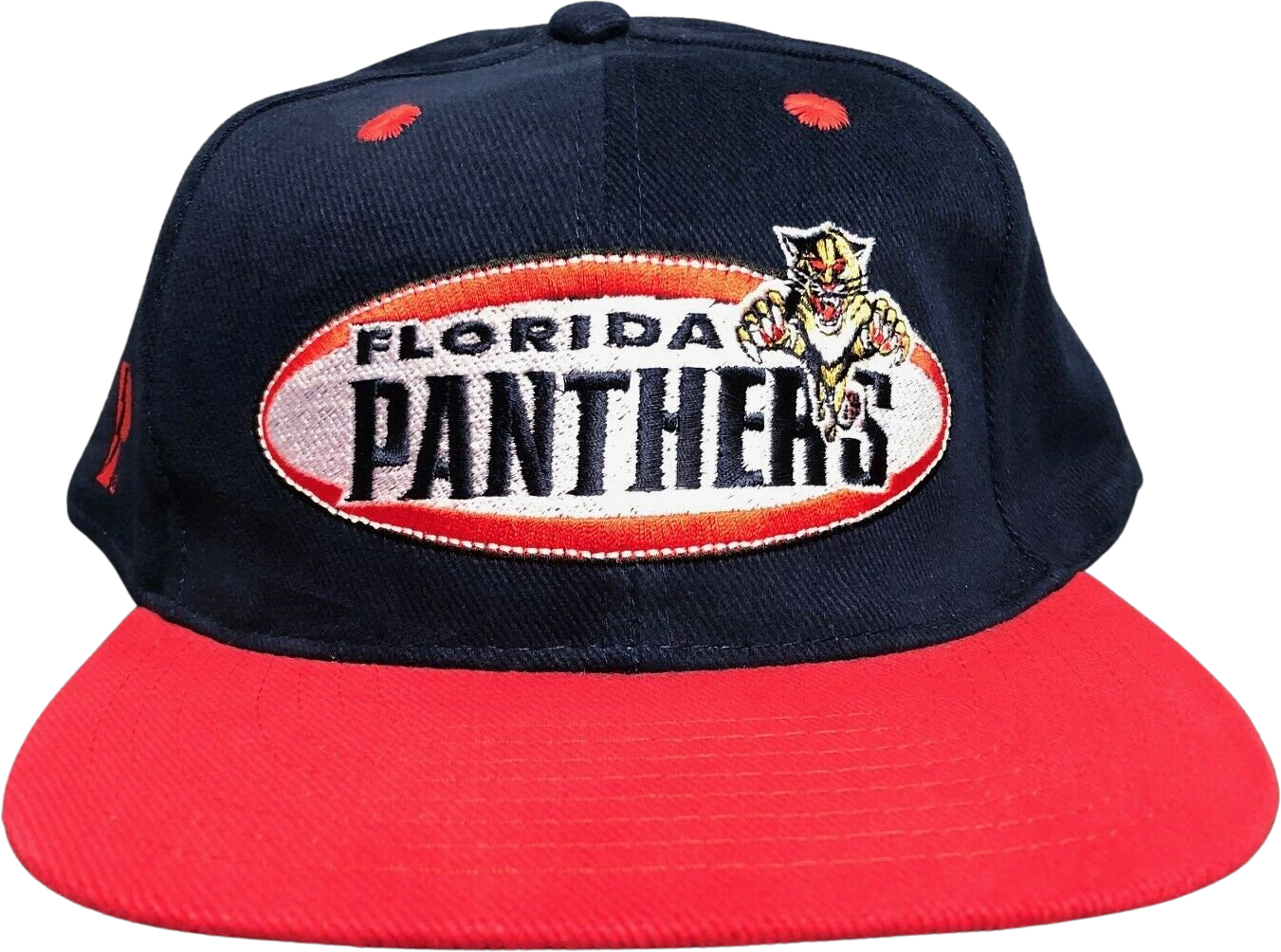 VTG NWT Competitor NHL Florida Panthers Snapback Hat - Depop