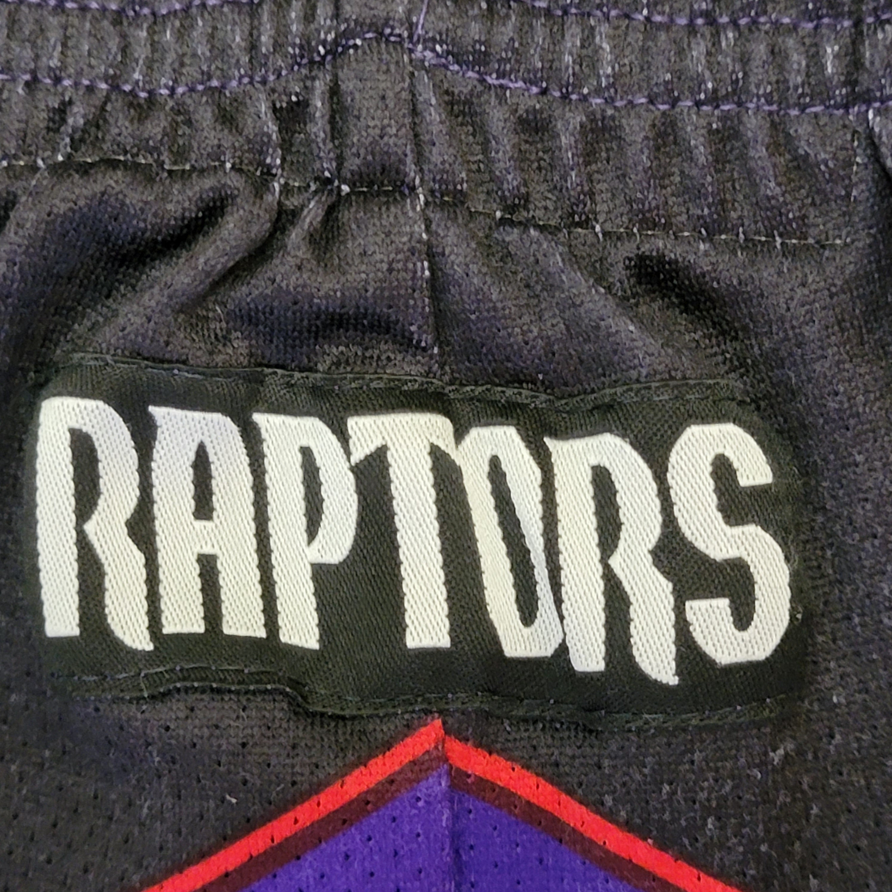 Vintage Toronto Raptors Basketball Shorts Mens XXL Purple Champion NBA 90s
