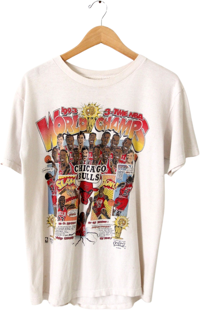 1993 Chicago Bulls Back to back champions vintage tee