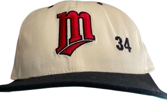 Vintage Snapback Trucker Hat Minnesota Twins Baseball Mlb Big M