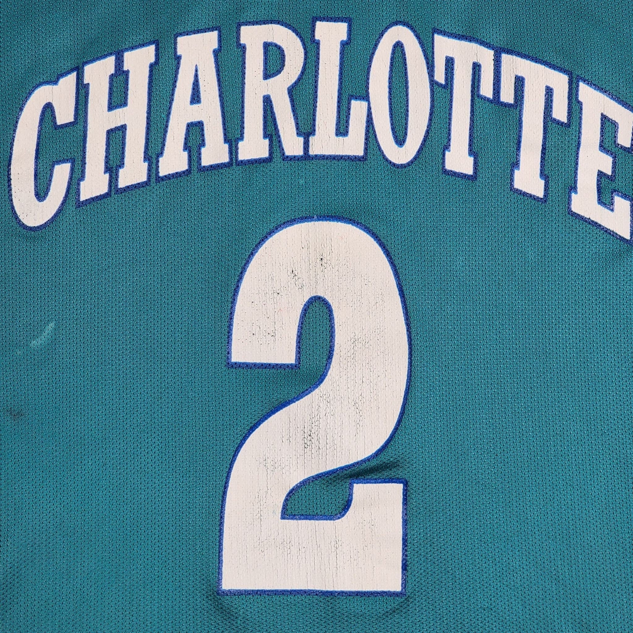 Vintage 90s Champion Charlotte Hornets Larry Johnson 2 Purple 