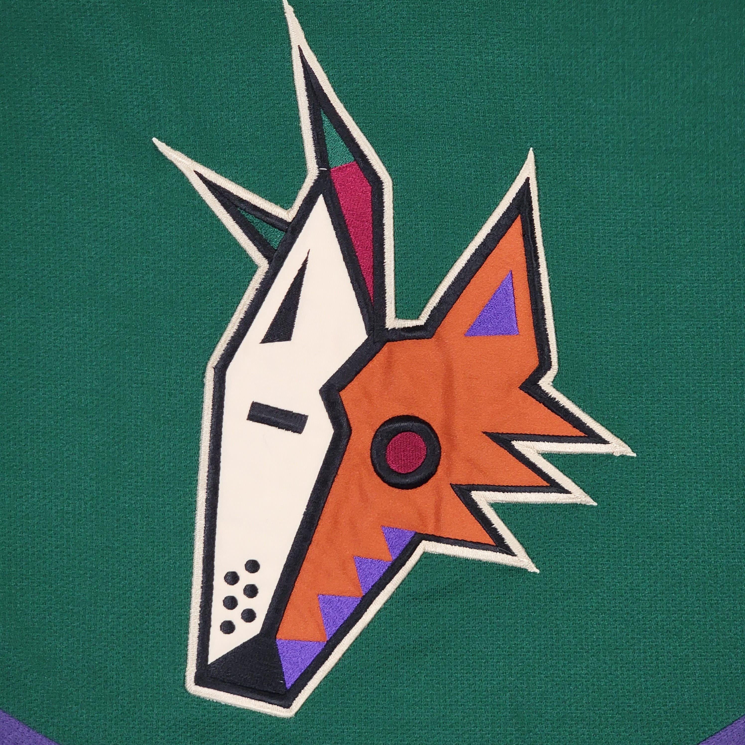 Vintage 90s Phoenix Coyotes Stitched 5 Starter NHL Hockey 