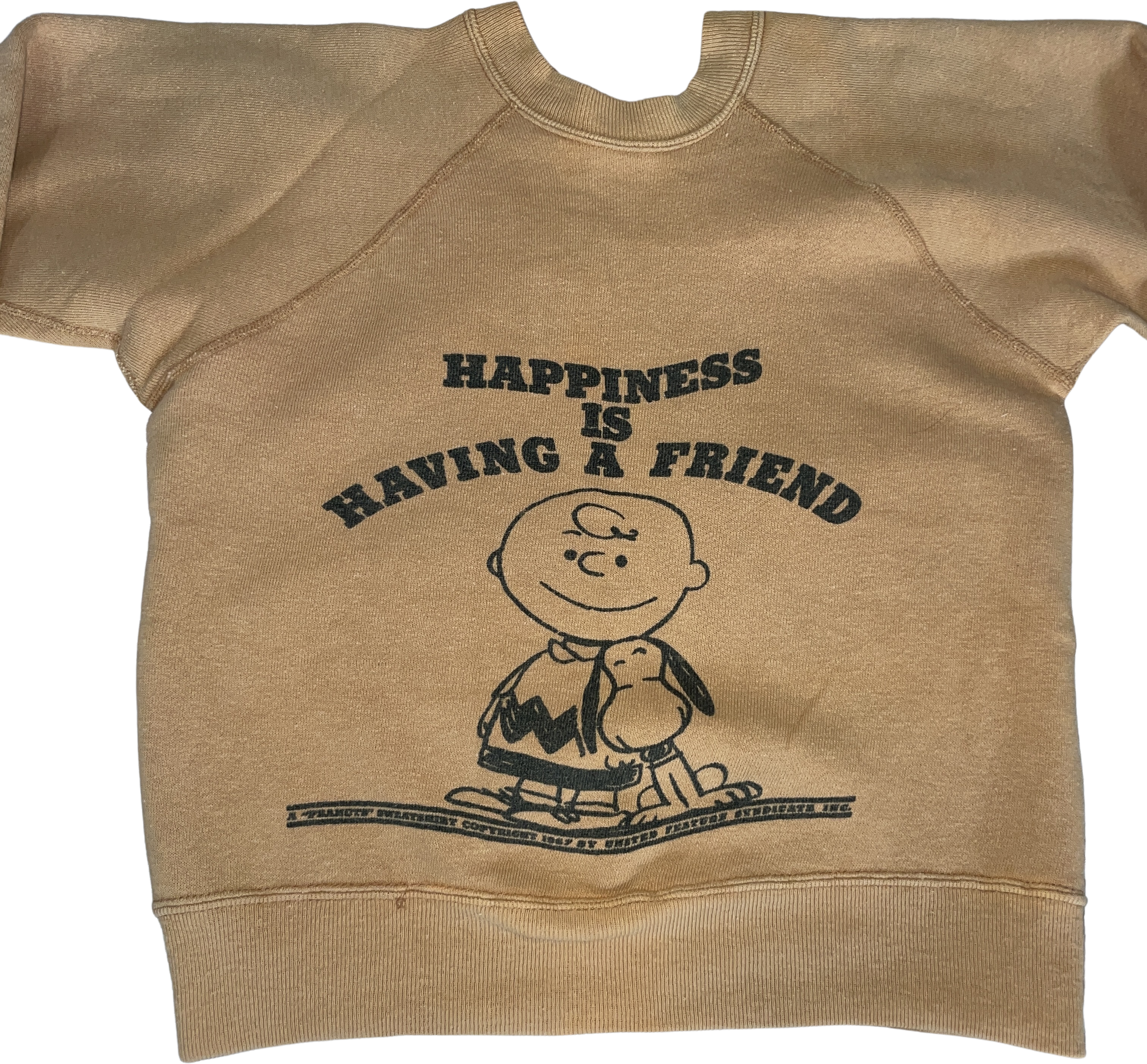 Vintage 60s Rare 1967 Snoopy Peanuts Charles Schultz Crewneck By