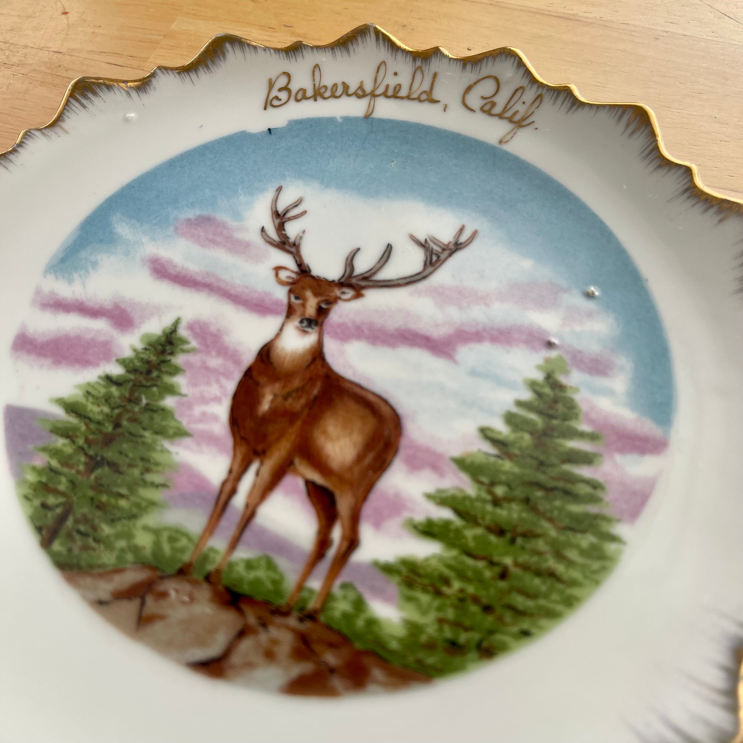 Vintage Bakersfield Calif. Souvenir Plate Shop THRILLING