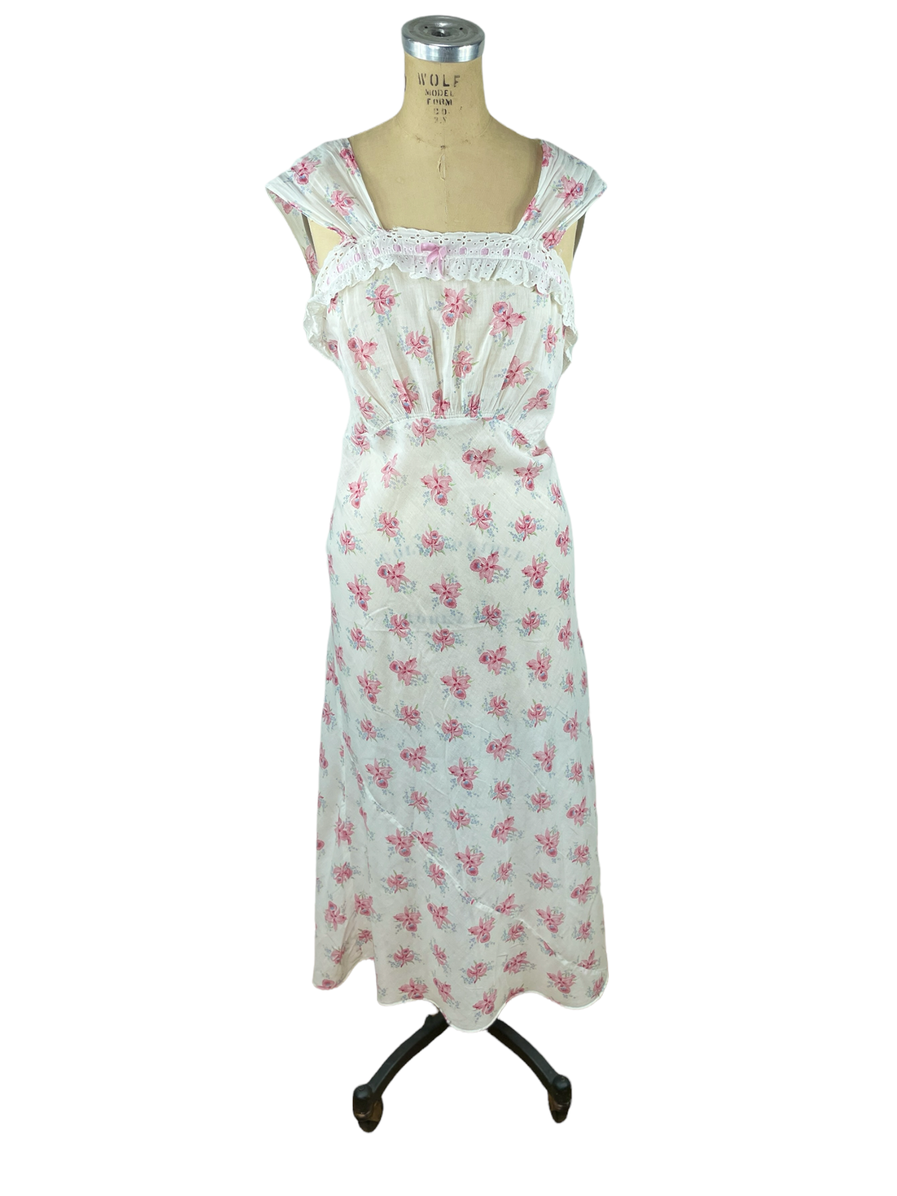 The Thrilling Lives Of Orchids: A Journey Into The Canopy - x4hje0t