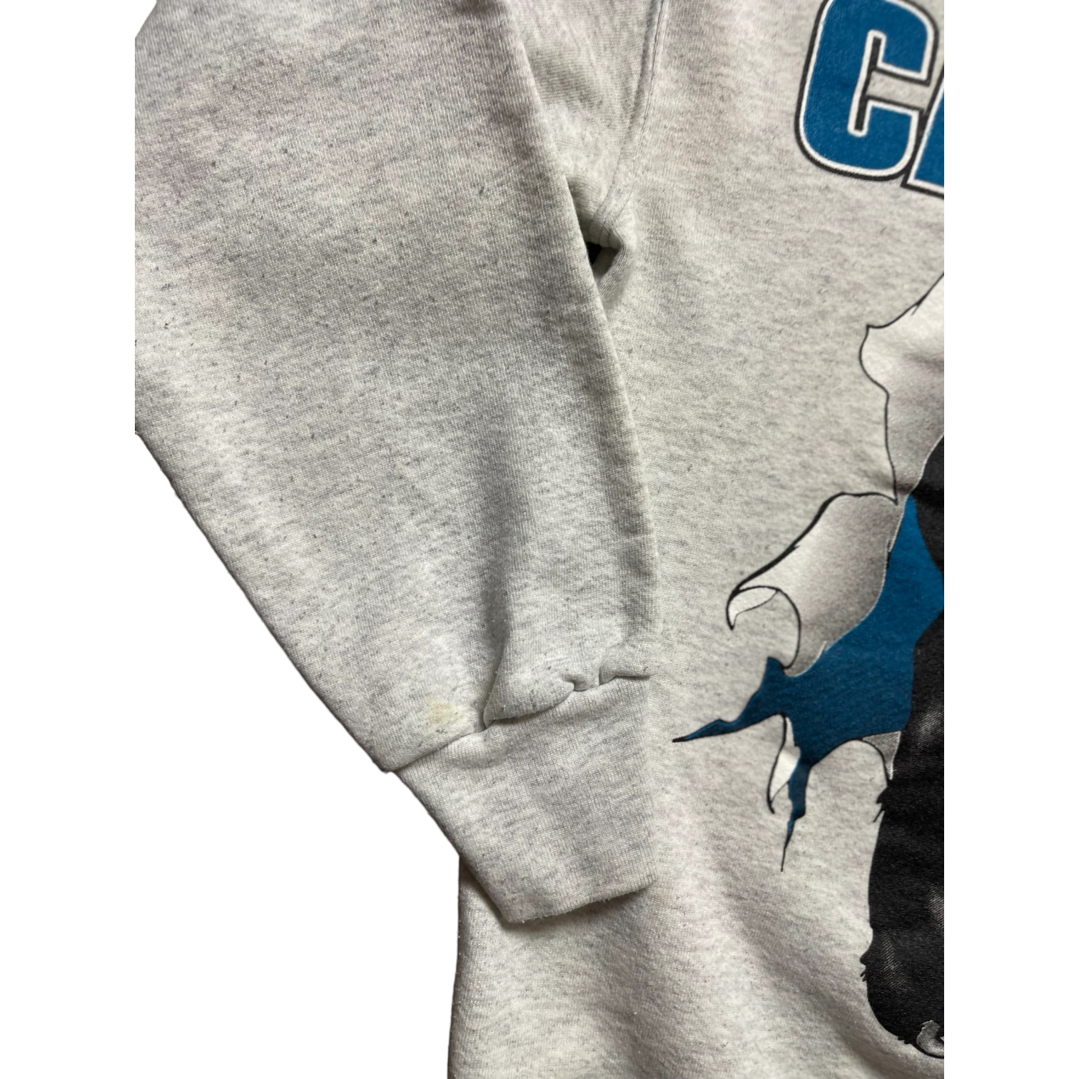 Vintage 80s/90s Carolina Panthers Doublesided Crewneck By Nutmeg