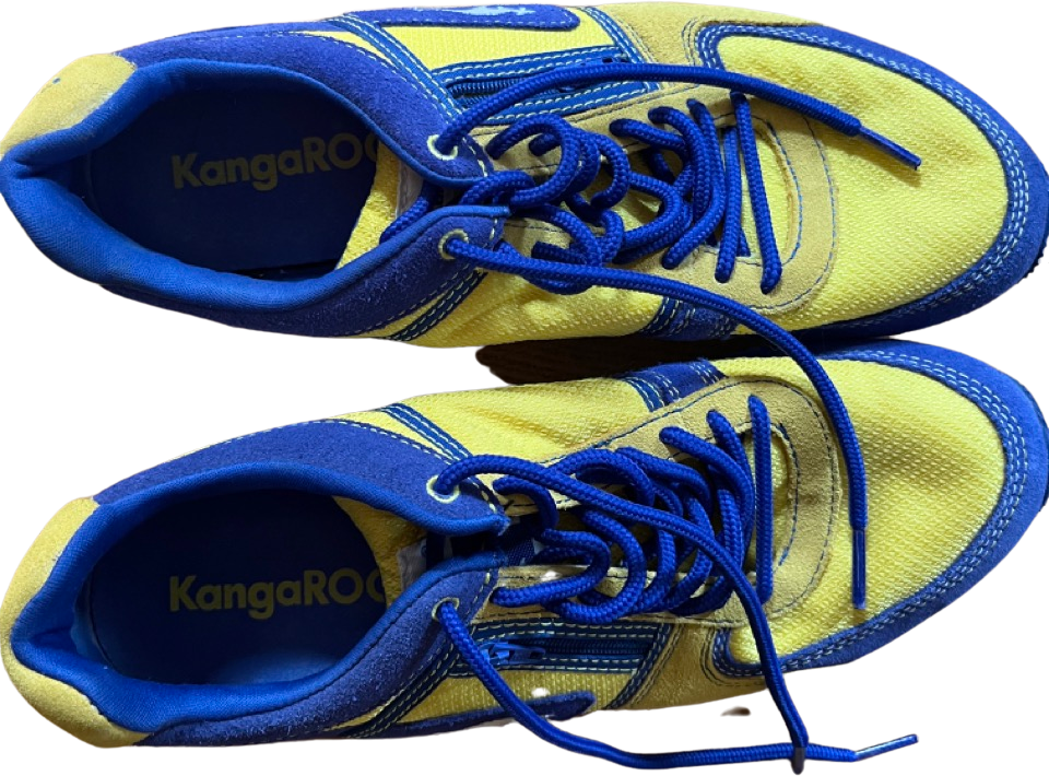 Kangaroos shoes with pocket : r/nostalgia