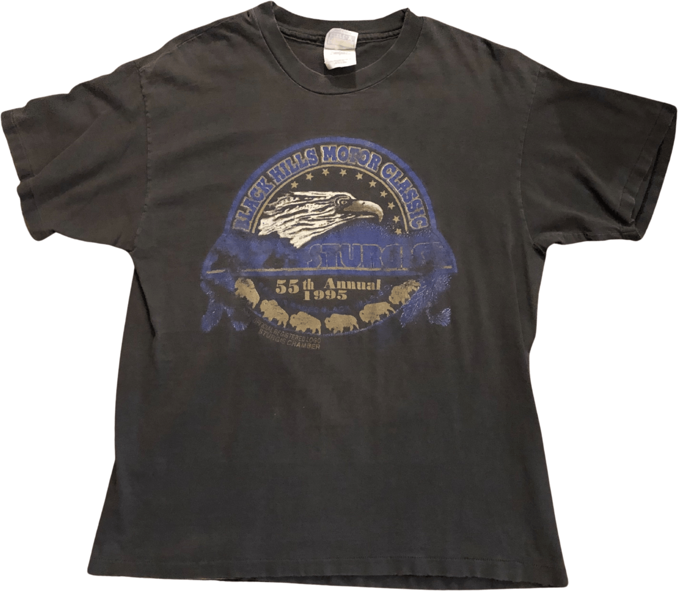 Vintage 90's Sturgis Black Hills Rally T-Shirt by Hanes Beefy-T