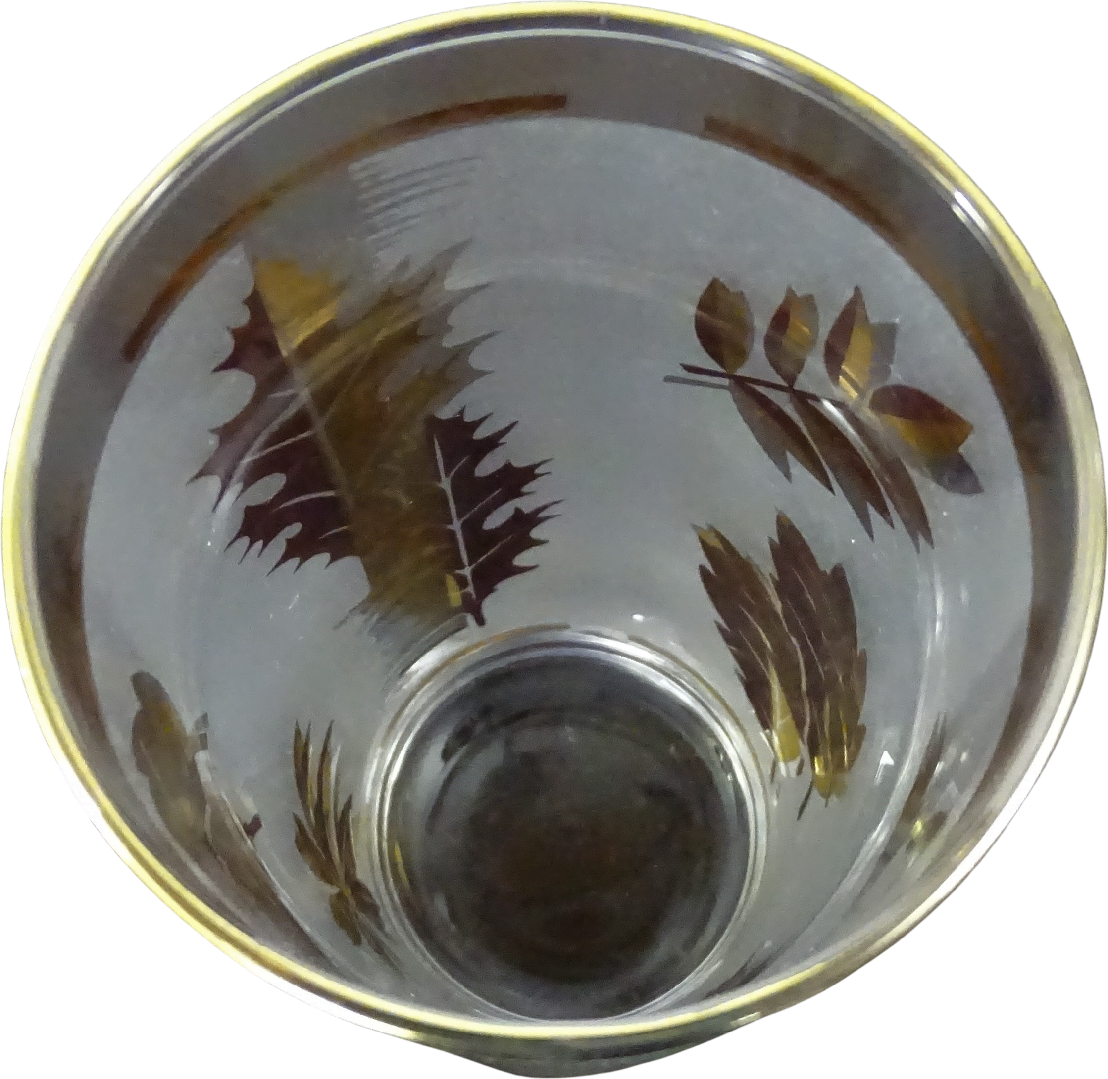 Rose Gold Leaf Fall Libbey Can Glass Glass Beer Can Glass 