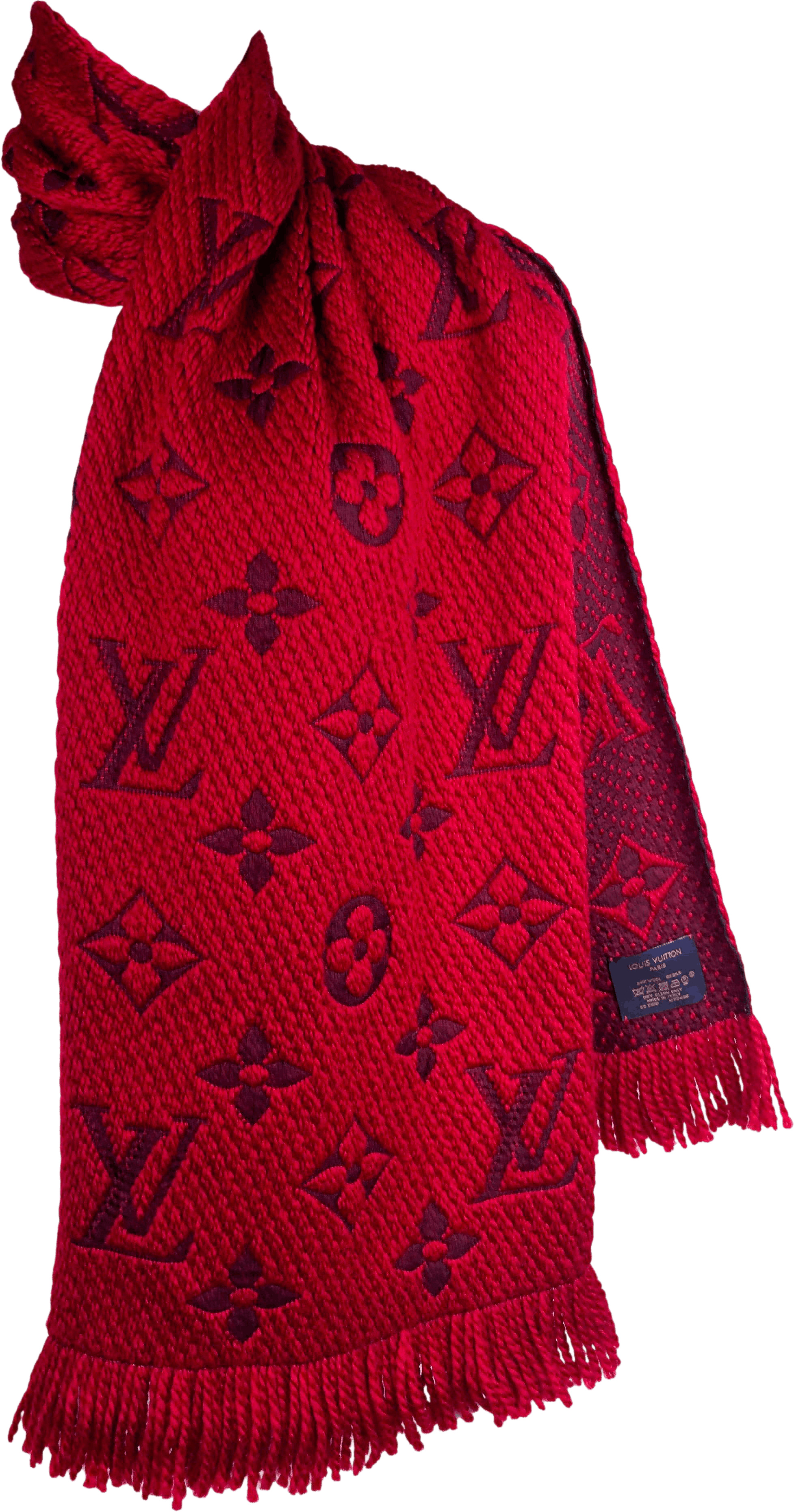 Louis Vuitton Monogram Fringed Winter Scarf