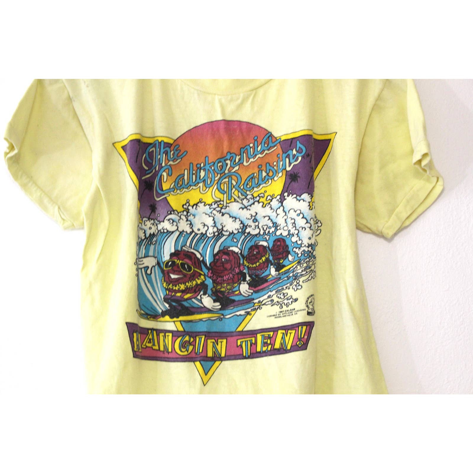 Vintage Kids California Raisins Hang Ten T-Shirt Xl by Sun | Shop THRILLING