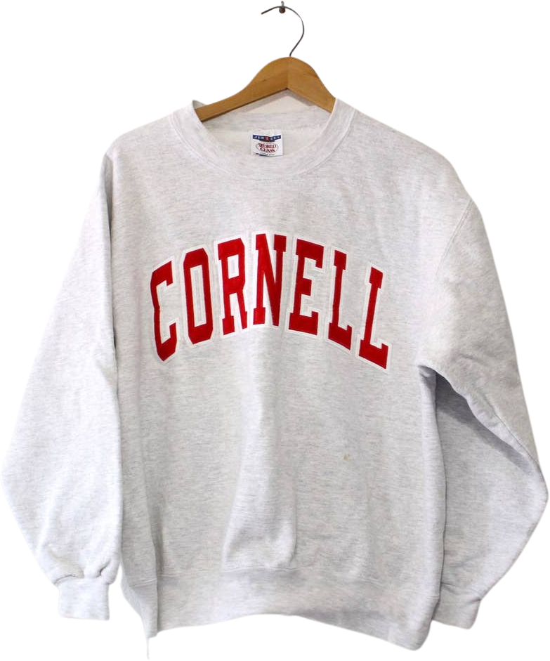Cornell champion sweatshirt hot sale