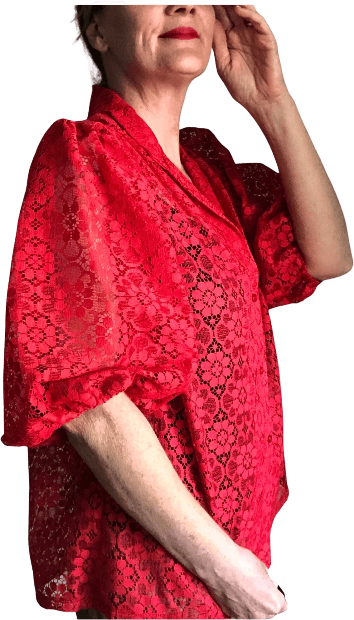 Vintage Red Lace Sheer Ballon Sleeve Button Up Blouse | Shop THRILLING