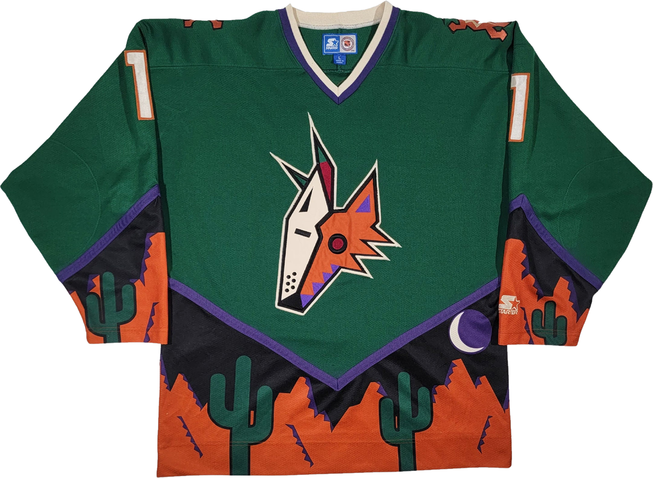 Phoenix coyote jersey!  Hockey sweater, Nhl playoffs, Coyotes hockey
