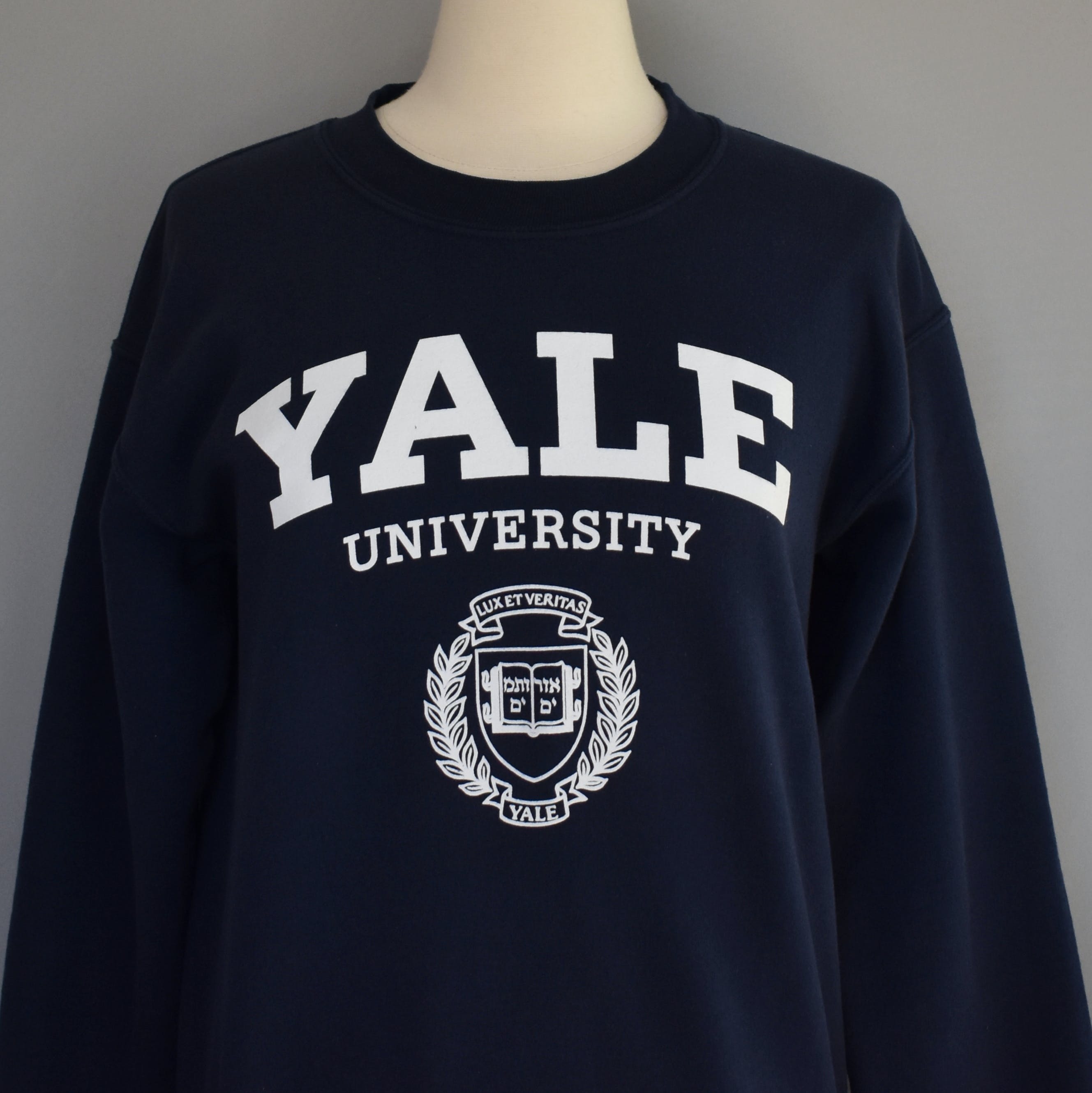 Vintage Yale University Sweatshirt by Gildan | Shop THRILLING