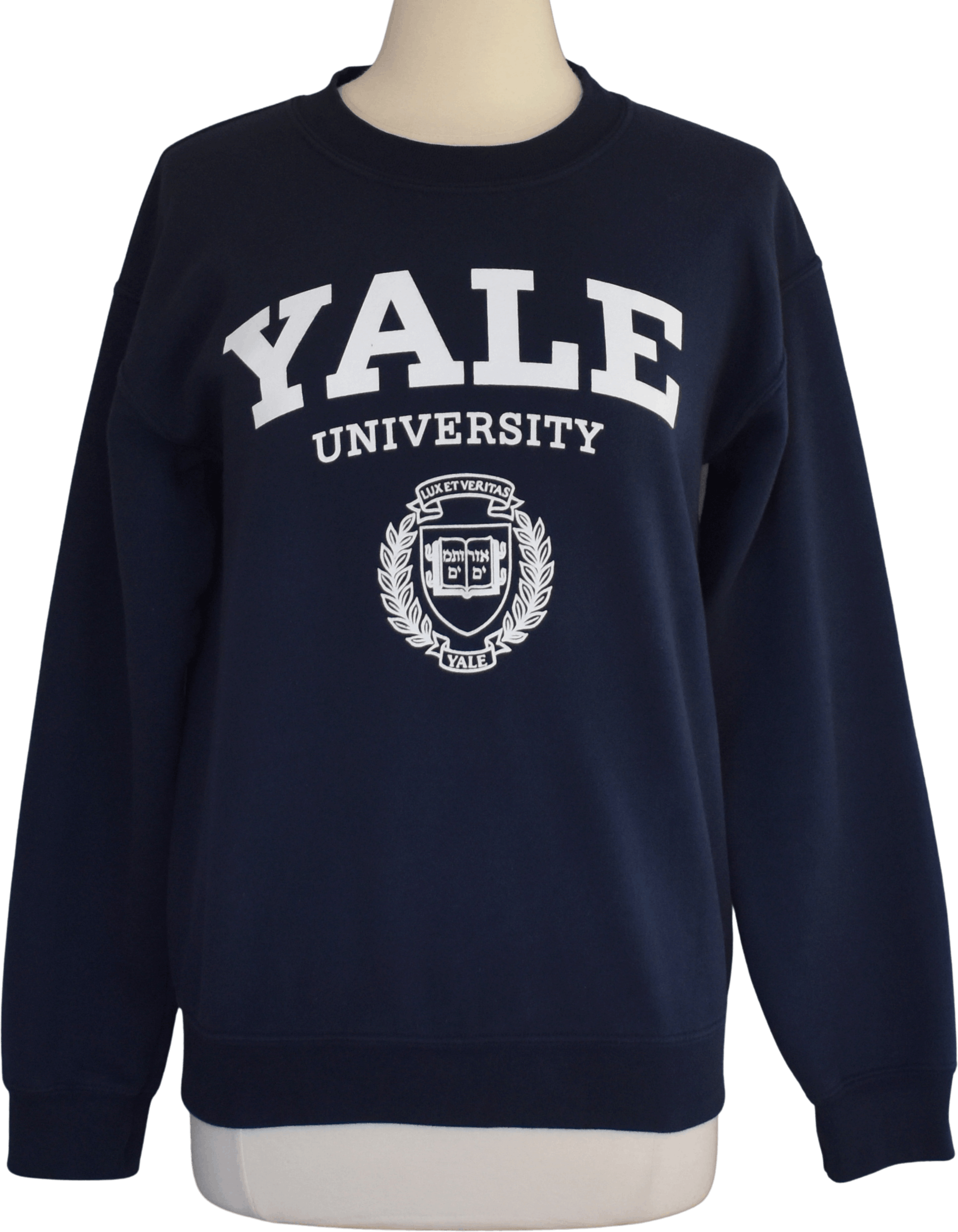 Vintage Yale University Sweatshirt by Gildan | Shop THRILLING