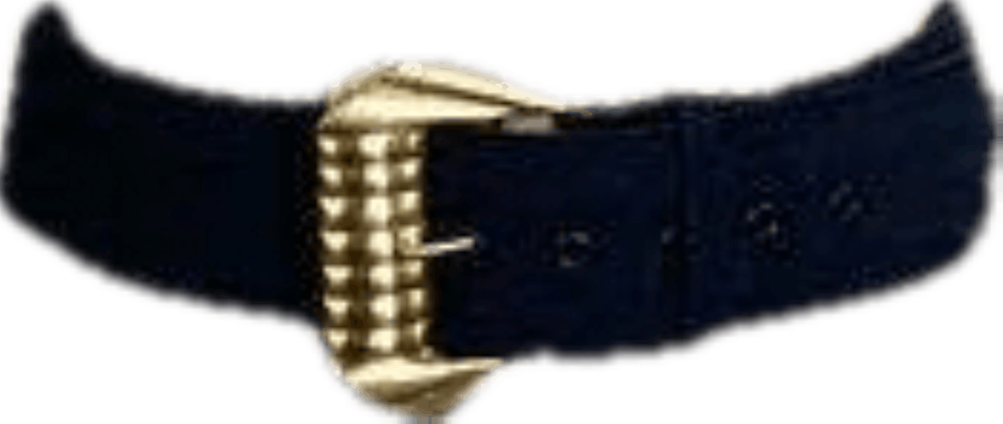 Vintage Wide Navy Blue Belt with Large Gold Buckle Shop THRILLING